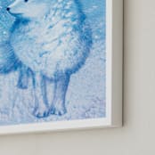 "Arctic Fox, Frosty Toes" - Art Print in Frost blue by Tracy Ann - Frame Close-up