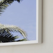 "Palm II" - Art Print in Sky Blue by Annie Montgomery - Frame Close-up