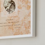 "Masterpiece of Nature - Emerson" - Art Print in Peach by Debb W - Frame Close-up