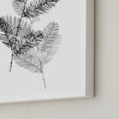 "Redwood" - Art Print in Black & White by Ashleigh Ninos - Frame Close-up