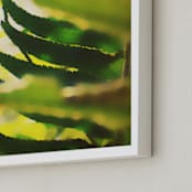 "Peekaboo Fern" - Art Print in Fern by Lisa McLean - Frame Close-up