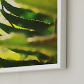 "Peekaboo Fern" - Art Print in Fern by Lisa McLean - Frame Close-up