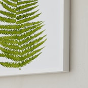 "Grass Green Watercolor Fern Leaf" - Art Print in Grass Green by Helga Wigandt - Frame Close-up