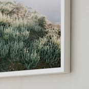 "Desert Sage" - Art Print in Desert Sage by Anna Western - Frame Close-up