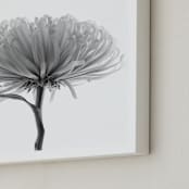"In my Window" - Art Print in Pure white by Johanna Phillips Huuva - Frame Close-up