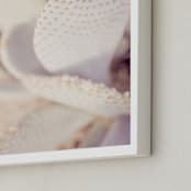 "Painted Cactus" - Art Print in Ole Pink by Tania Medeiros - Frame Close-up