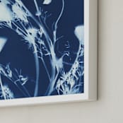 "Eschscholzia californica" - Art Print in prussian blue by raven erebus - Frame Close-up