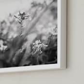 "Inked III" - Art Print in Inked Gray by Lindsay Ferraris Photography - Frame Close-up