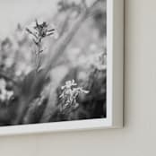 "Inked III" - Art Print in Inked Gray by Lindsay Ferraris Photography - Frame Close-up