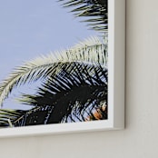 "Palm I" - Art Print in Sky Blue by Annie Montgomery - Frame Close-up