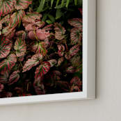 "The Jungle Room - Part 2" - Art Print in Ruby by Owl and Toad - Frame Close-up