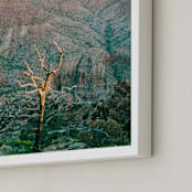 "Grand Canyon Tree" - Art Print in Forest Green by Anna Western - Frame Close-up