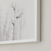 "Mytoi Tree 02" - Art Print in Birch Grey by jinseikou - Frame Close-up