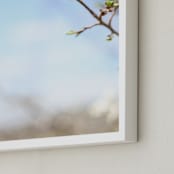 "Pear Blossom Sky" - Art Print in Sky Blue by Sara Curtis - Frame Close-up