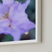 "Iris Queen" - Art Print in Lilac by Giulia Doyle - Frame Close-up