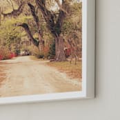 "Bonaventure" - Art Print in Warm Vintage by Sara Heilwagen - Frame Close-up