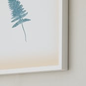 "Baby Fern" - Art Print in Creamy ivory by hadley hutton - Frame Close-up