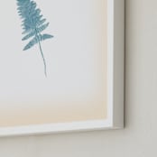 "Baby Fern" - Art Print in Creamy ivory by hadley hutton - Frame Close-up