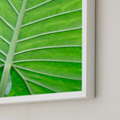 "Color Palette ll" - Art Print in balmy green by Debra Pruskowski - Frame Close-up
