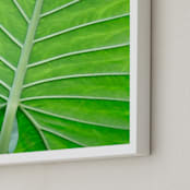 "Color Palette ll" - Art Print in balmy green by Debra Pruskowski - Frame Close-up