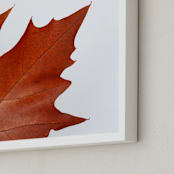 "Seasons Change" - Art Print in rustic red by Alexis Arnold - Frame Close-up