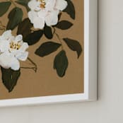 "White Roses no.1" - Art Print in brown by Shina Choi - Frame Close-up
