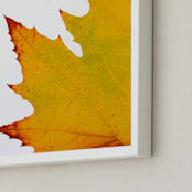 "Colors of Fall" - Art Print in yellow orange by Alexis Arnold - Frame Close-up