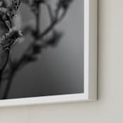 "dried blooms" - Art Print in Black and white by Danielle LaRose - Frame Close-up