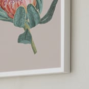 "Protea 1" - Art Print in hot vanilla by Nina Leth - Frame Close-up