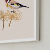 "Goldfinch 1" - Art Print in being with rose tint by Nina Leth - Frame Close-up