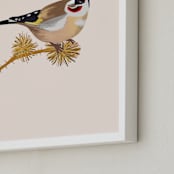 "The goldfinch 2" - Art Print in beige with a rose tint by Nina Leth - Frame Close-up