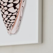 "Modern Marble Cone Shell" - Art Print in Misty Rose by Artsy Canvas Girl Designs - Frame Close-up