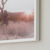 "Desert Blush 1" - Art Print in Sunset Blush by Shannon Howard - Frame Close-up