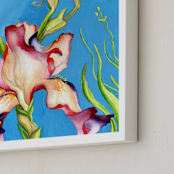 "Iris II, Colorful Floral" - Art Print in Sky Blue by Kathleen Ney - Frame Close-up