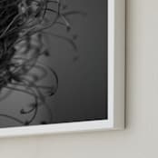 "protea dried" - Art Print in Black and white by Danielle LaRose - Frame Close-up