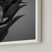 "veins" - Art Print in Black and white by Danielle LaRose - Frame Close-up