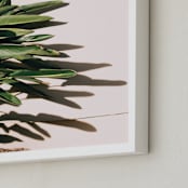"In the Tropics" - Art Print in sun bleached pink by Jenna Gibson - Frame Close-up