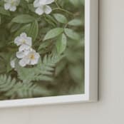 "Garden Flowers No. 4" - Art Print in Sage Green by Lynann Colligan - Frame Close-up