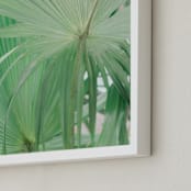 "Yucatan VII" - Art Print in Jungle Green by Lindsay Ferraris Photography - Frame Close-up
