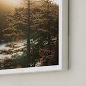 "Alpine Light 1" - Art Print in Golden Hour by Shannon Howard - Frame Close-up