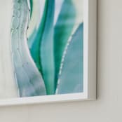"Mint Agaves " - Art Print in Agave Mint by Melissa Agular - Frame Close-up