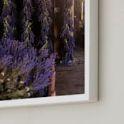 "Sun-Kissed Lavender" - Art Print in Deep Lavender by Hollie Renner Photography - Frame Close-up