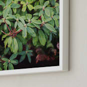 "Northwest Greens" - Art Print in Avocado Green by CedarandGrey - Frame Close-up