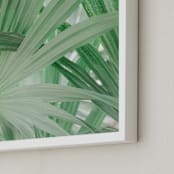 "Yucatan I" - Art Print in Tropical Green by Lindsay Ferraris Photography - Frame Close-up