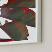 "Banana Red" - Art Print in Rusty Red by Jonathan Brooks - Frame Close-up