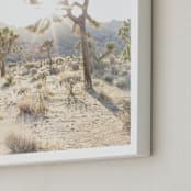 "Joshua Tree Golden Hour-2" - Art Print in Warm by Lauren Armellini - Frame Close-up