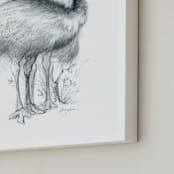 "Two Emu" - Art Print in graphite by Tracy Ann - Frame Close-up