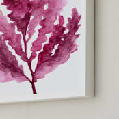 "Sea Botanicals I" - Art Print in Rosewood by Luz Alliati - Frame Close-up