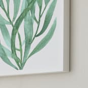 "Sea Botanicals III" - Art Print in Jade by Luz Alliati - Frame Close-up