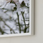 "Magnolia Blush" - Art Print in Sage by Jayna B - Frame Close-up